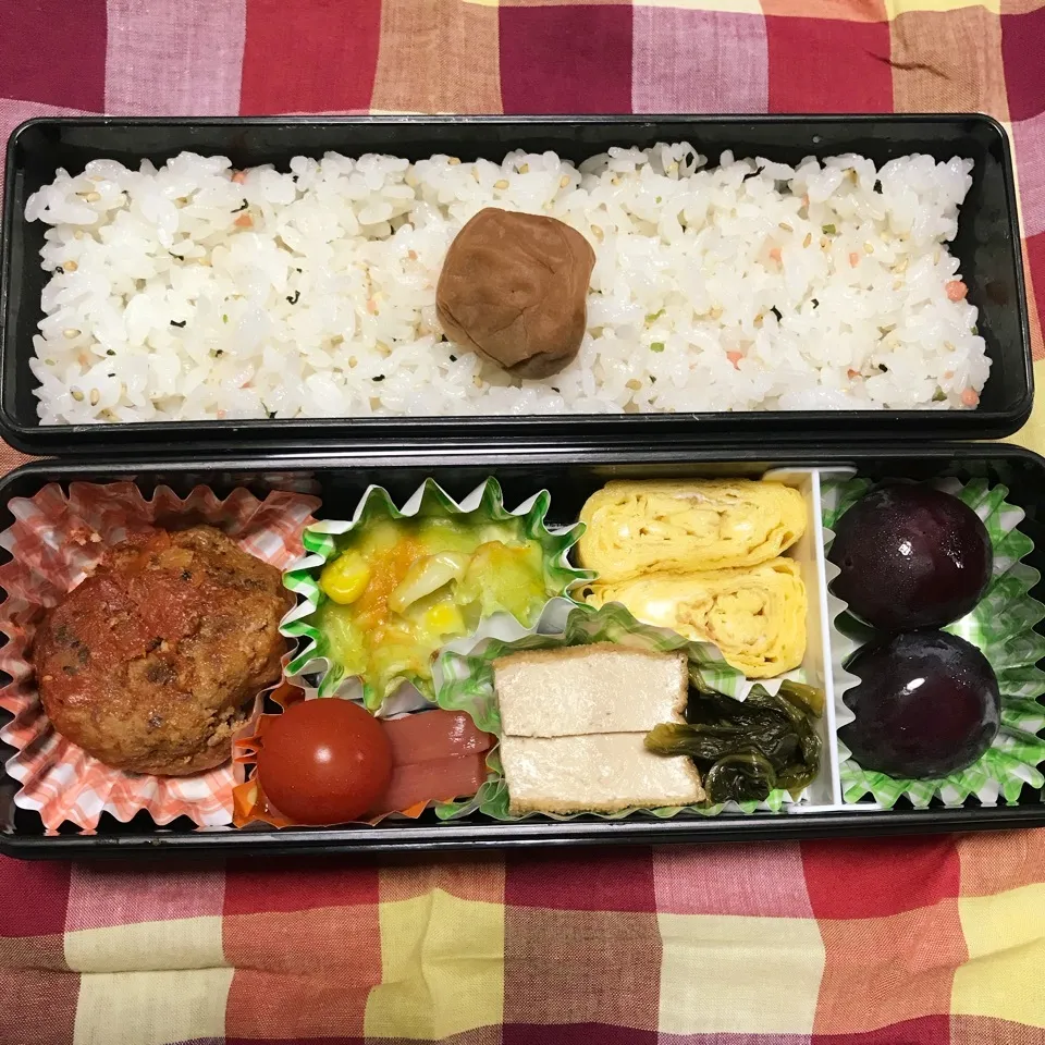 娘のお弁当10/11|iguigupopさん