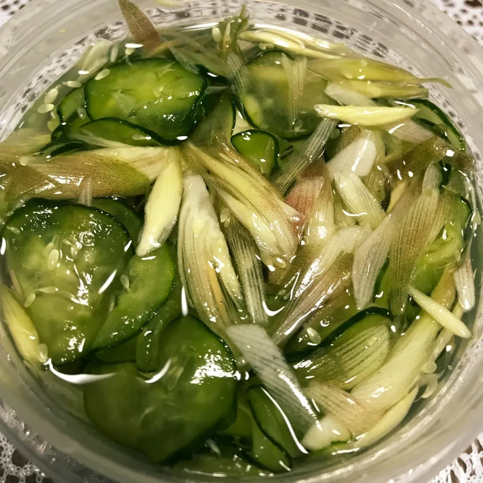 キュウリの酢の物🥒|iguigupopさん