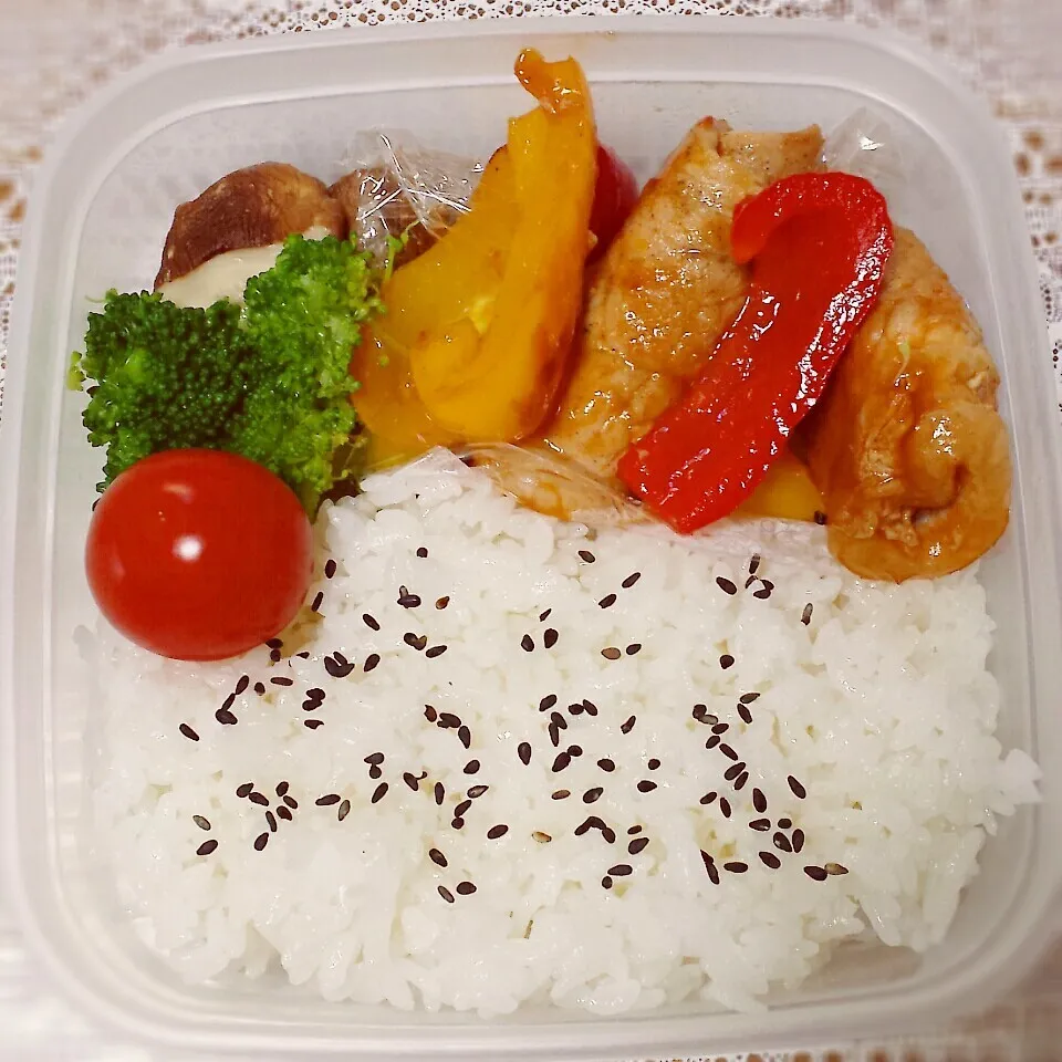 今日の姉お弁当|まんまるこさん