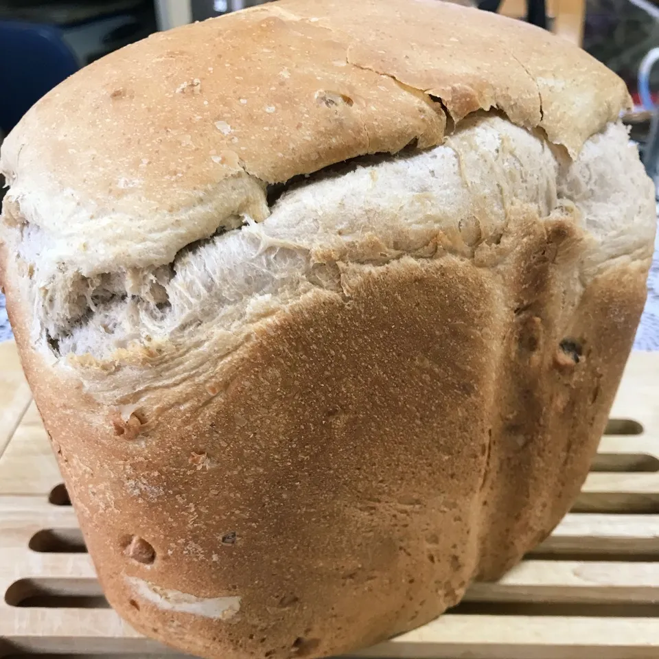 Snapdishの料理写真:クルミパン🍞全粒粉入り|iguigupopさん