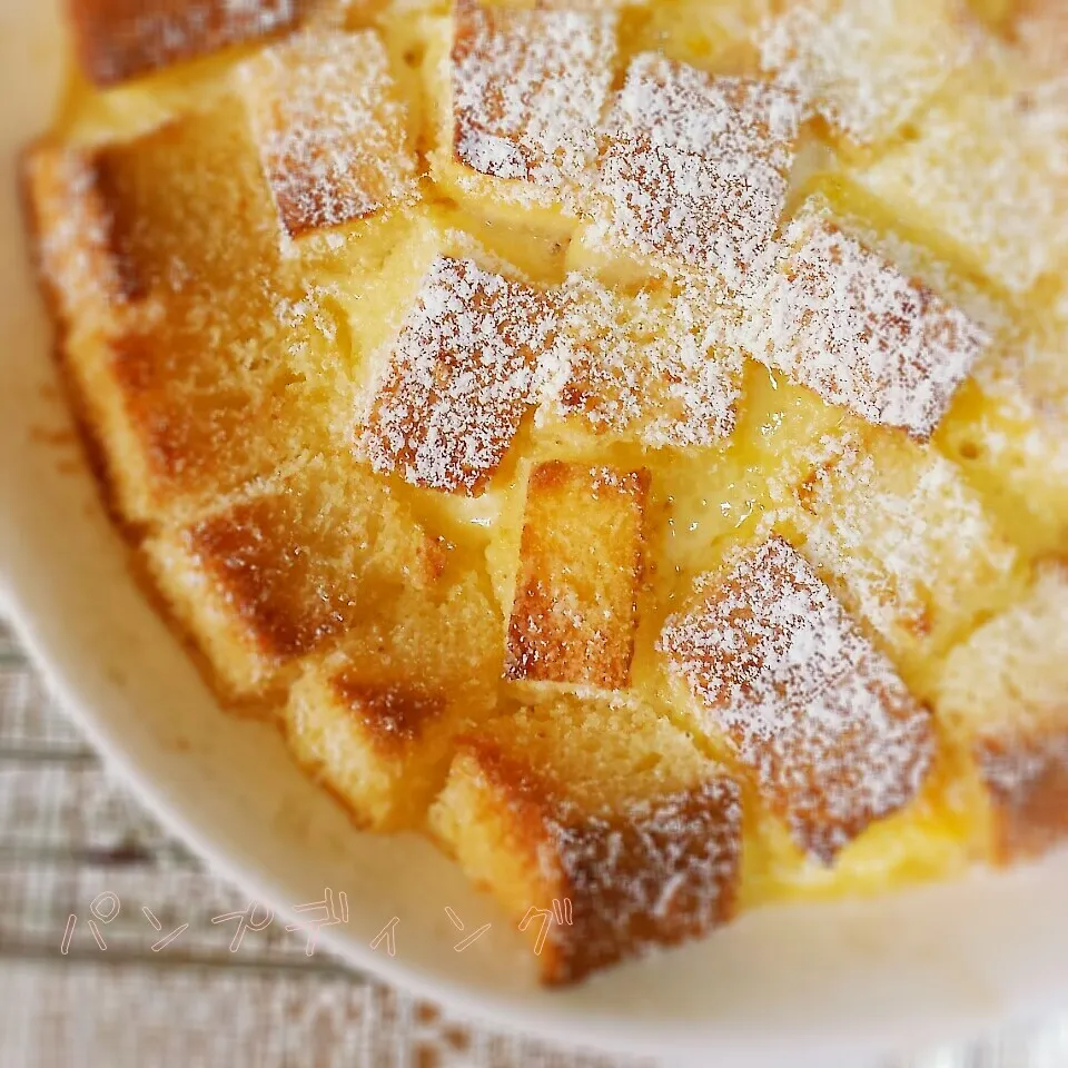 パンプディング|まんまるこさん