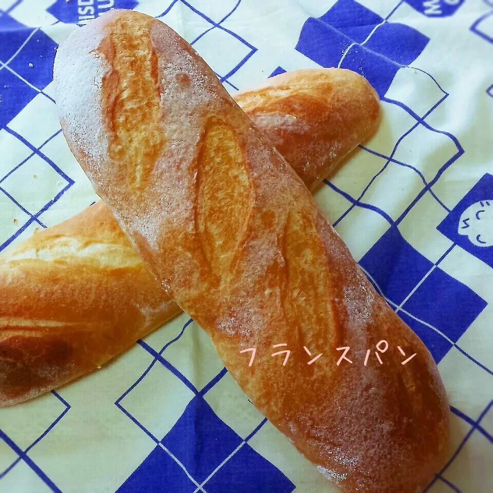 フランスパン|まんまるこさん