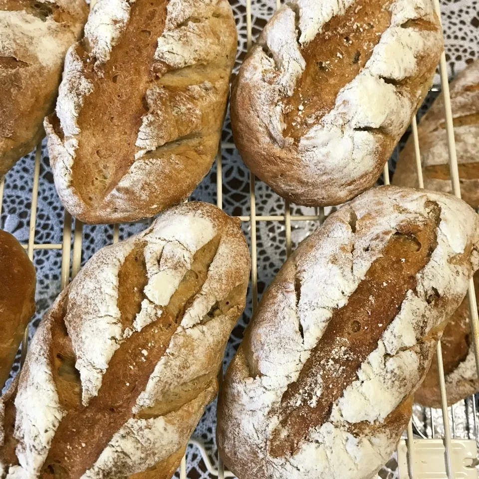 Snapdishの料理写真:りんご酵母のライ麦クルミパン🥖|iguigupopさん