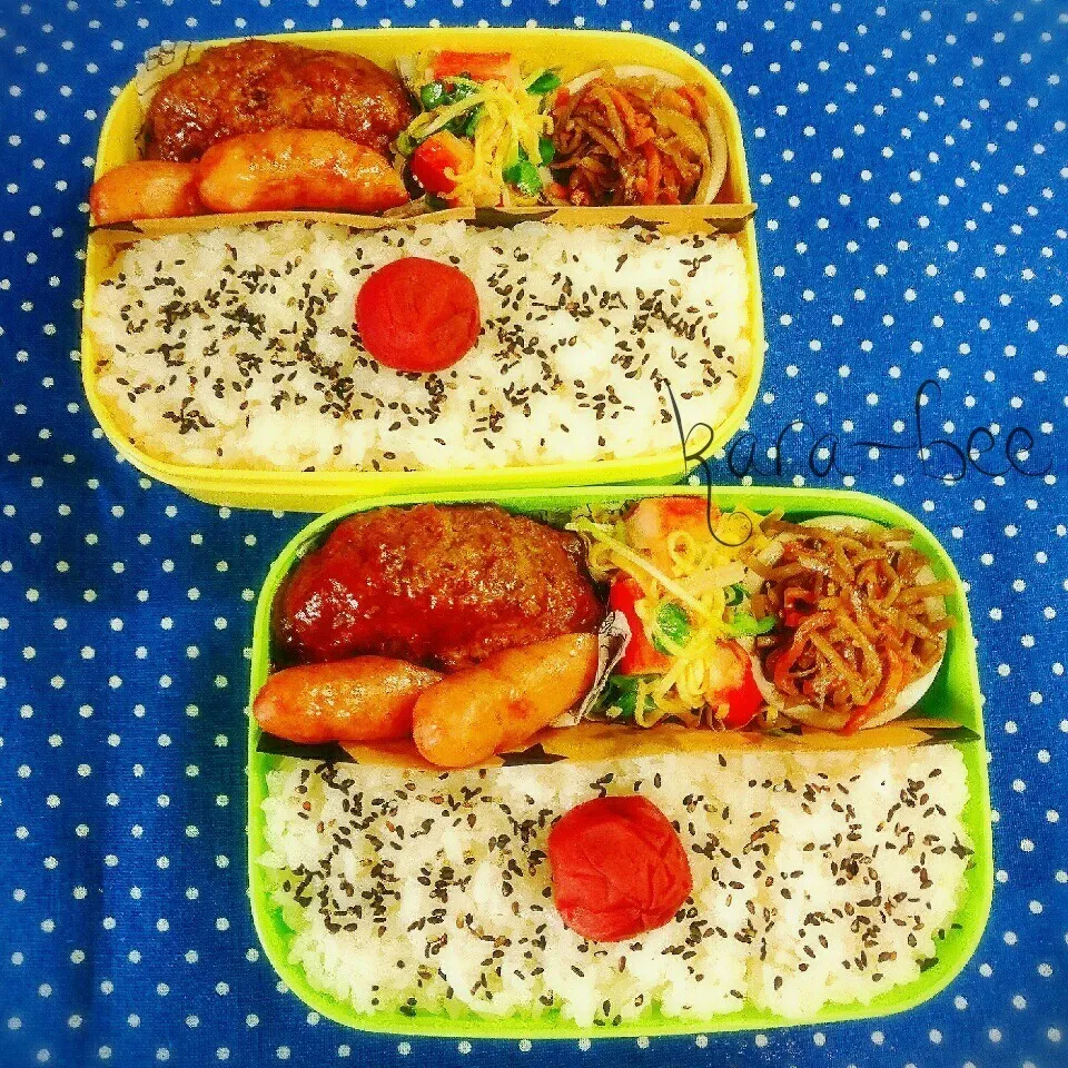 Snapdishの料理写真:母とムスコのラブラブおソロ煮込みハンバーグ弁当|からあげビールさん