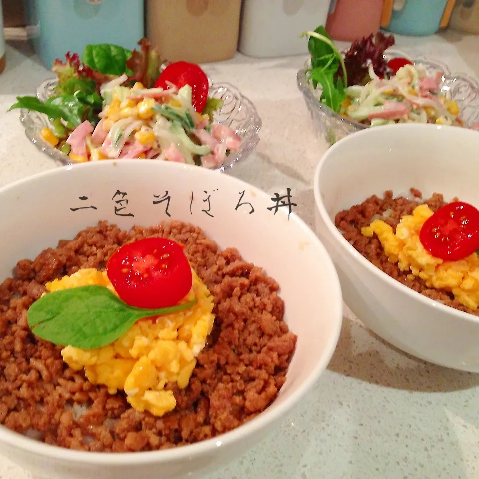 二色そぼろ丼|はーちゃんさん