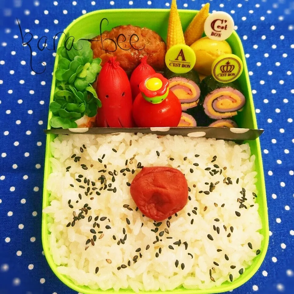 Snapdishの料理写真:今日はお弁当|からあげビールさん