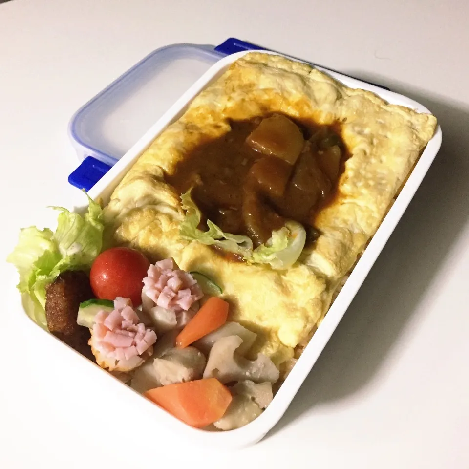 Snapdishの料理写真:オムハヤシ弁当|takarinさん