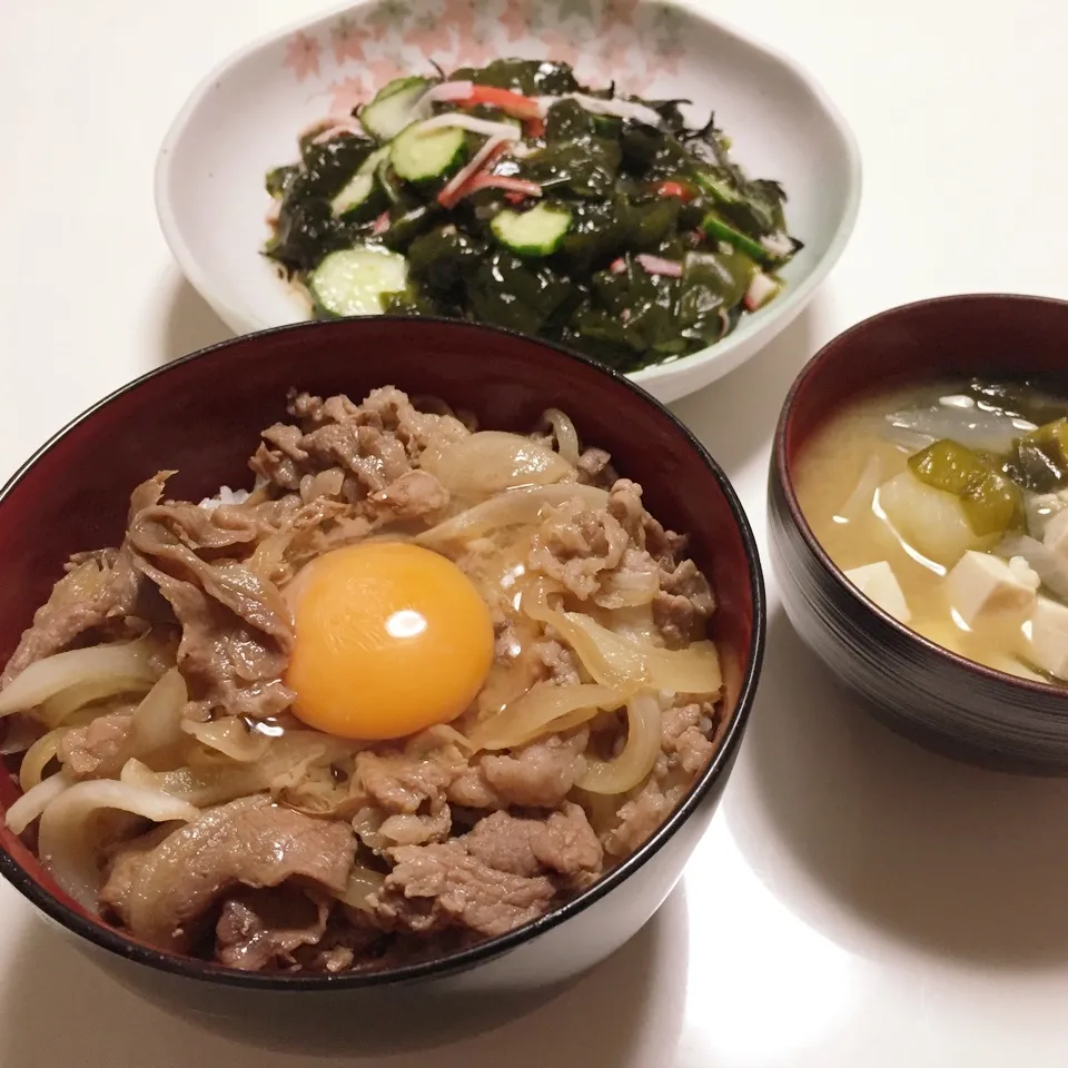 Snapdishの料理写真:今夜は牛丼|takarinさん