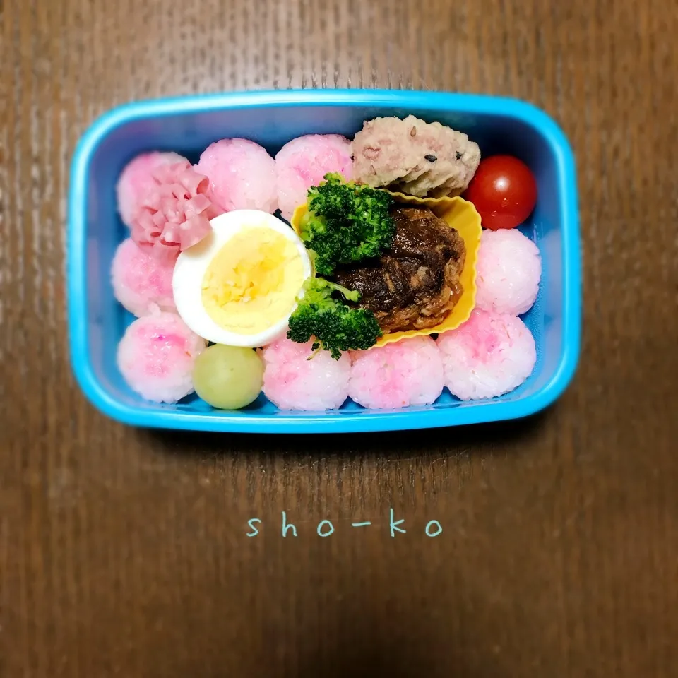 11/21(水) お弁当|sho-koさん