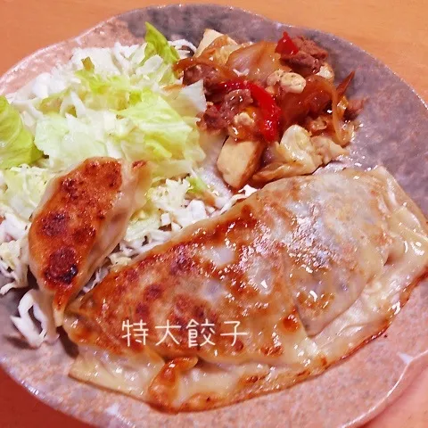 今夜は特大餃子だよ|takarinさん