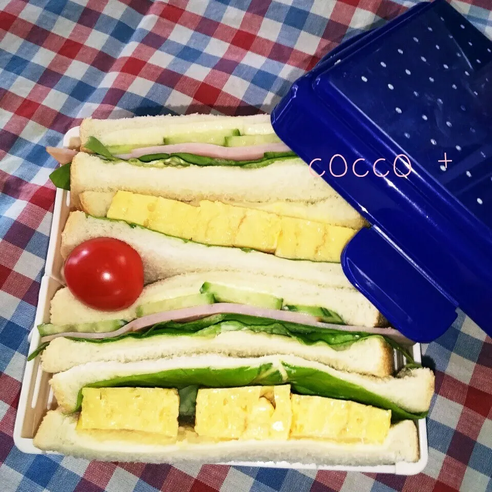 たまにはsandwich弁当でも作ってみた|cocco+さん