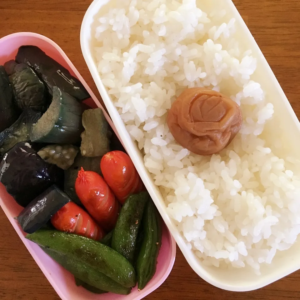 Snapdishの料理写真:母弁当|なつこいっきママさん