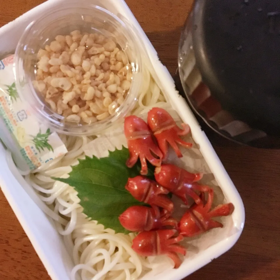 Snapdishの料理写真:そうめん弁当|なつこいっきママさん