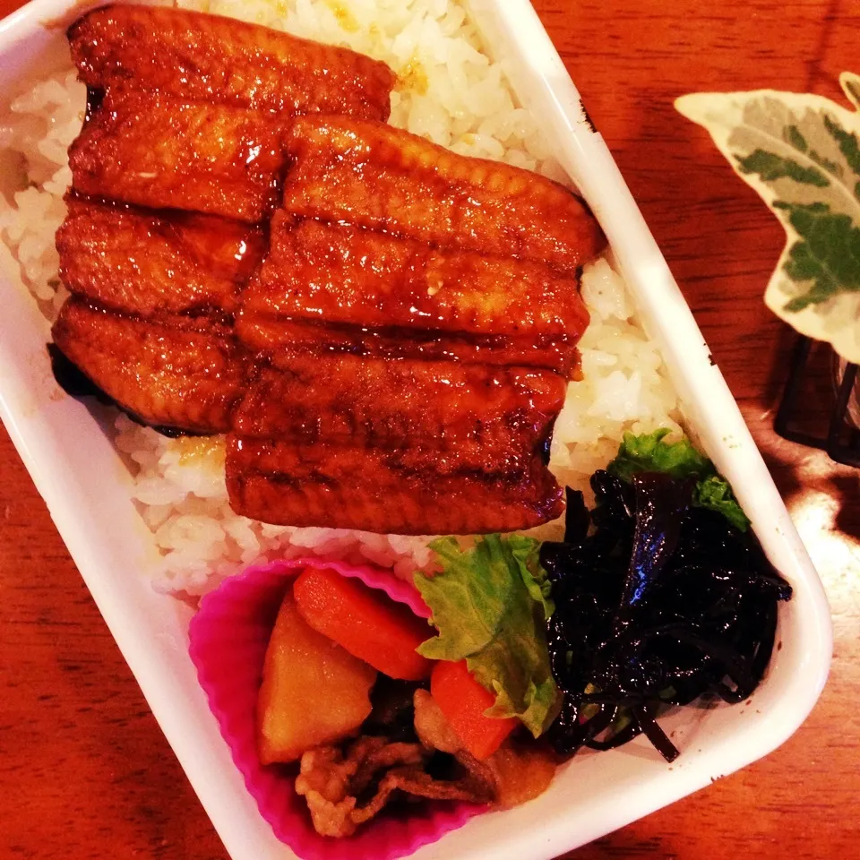 うな丼弁当|なつこいっきママさん