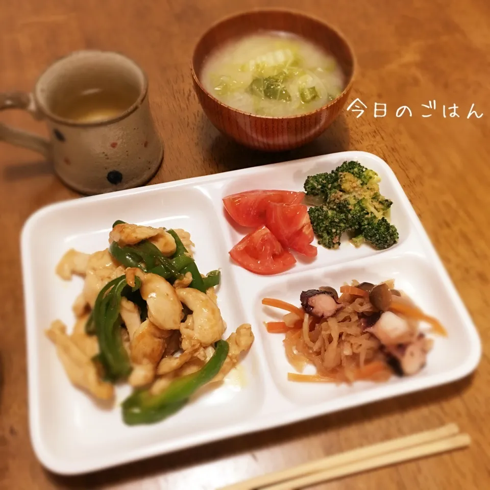 鶏むね肉の青椒肉絲|teritamagoさん