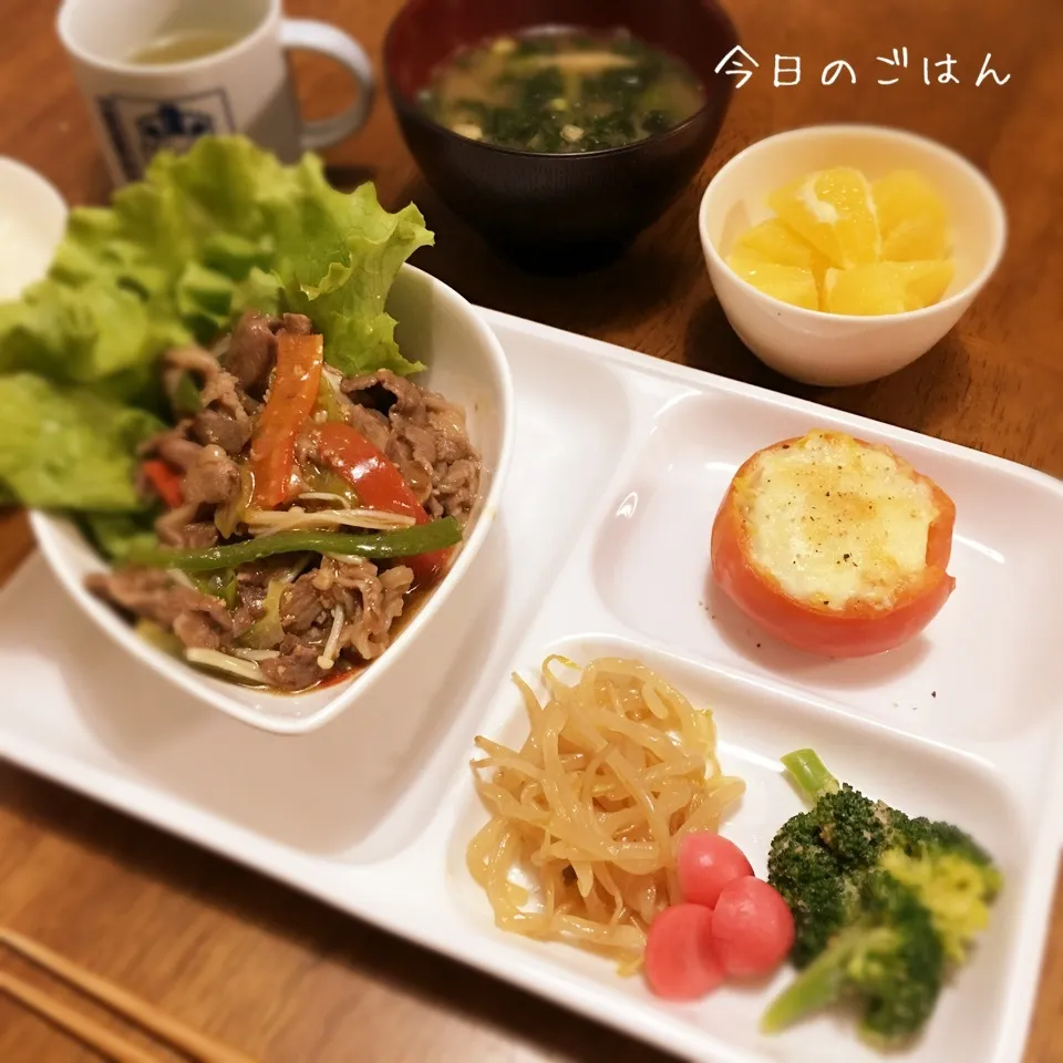 麻婆な肉野菜炒め|teritamagoさん