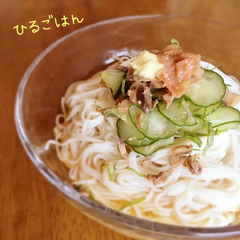 ぶっかけそうめん|teritamagoさん