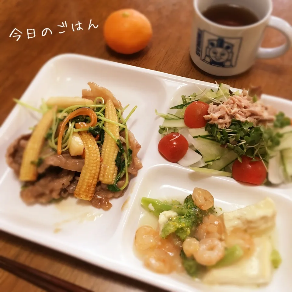 牛肉と野菜のマヨポン炒め|teritamagoさん