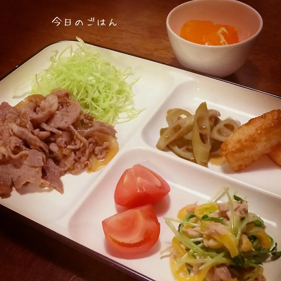 Snapdishの料理写真:生姜焼き|teritamagoさん