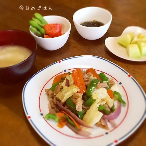 肉野菜炒め|teritamagoさん