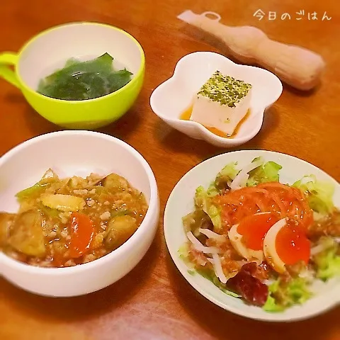 麻婆野菜|teritamagoさん