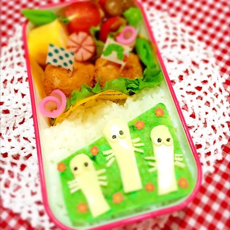 Snapdishの料理写真:ニョロニョロお弁当♪|くぅ*さん