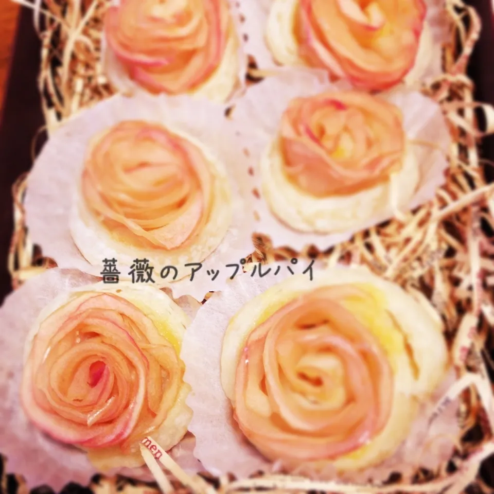 Snapdishの料理写真:薔薇のアップルパイ|mogyumogyuさん