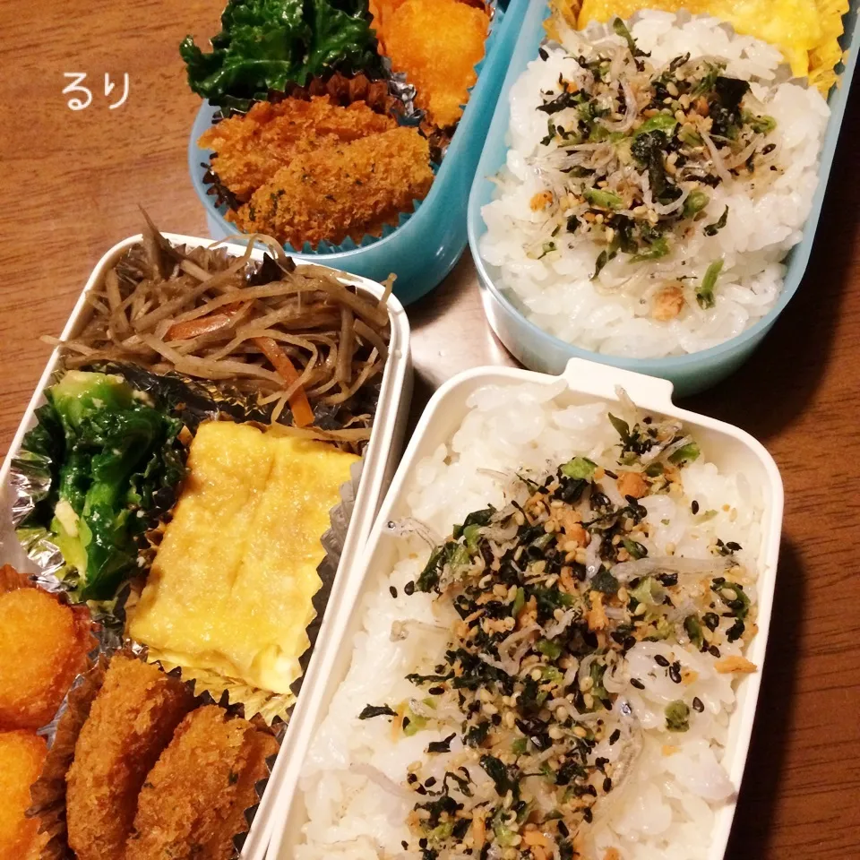 1/24のお弁当|るりさん