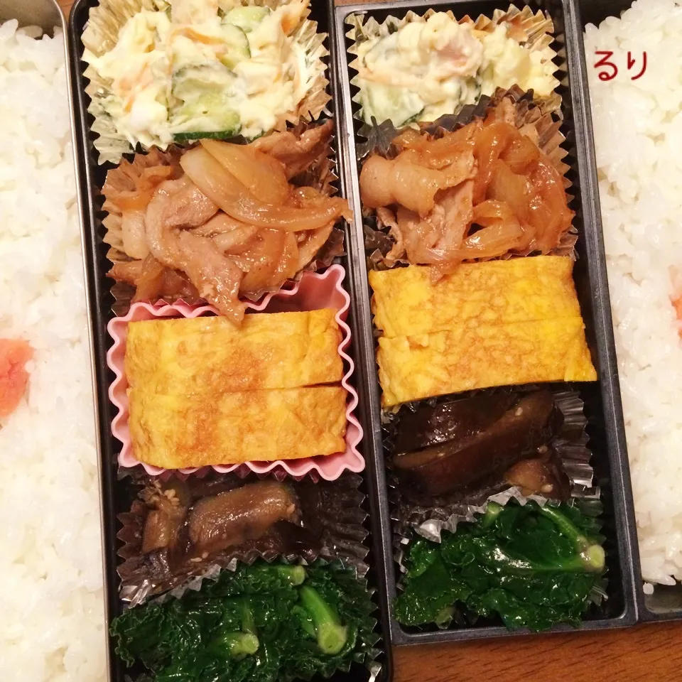 3/21のお弁当|るりさん