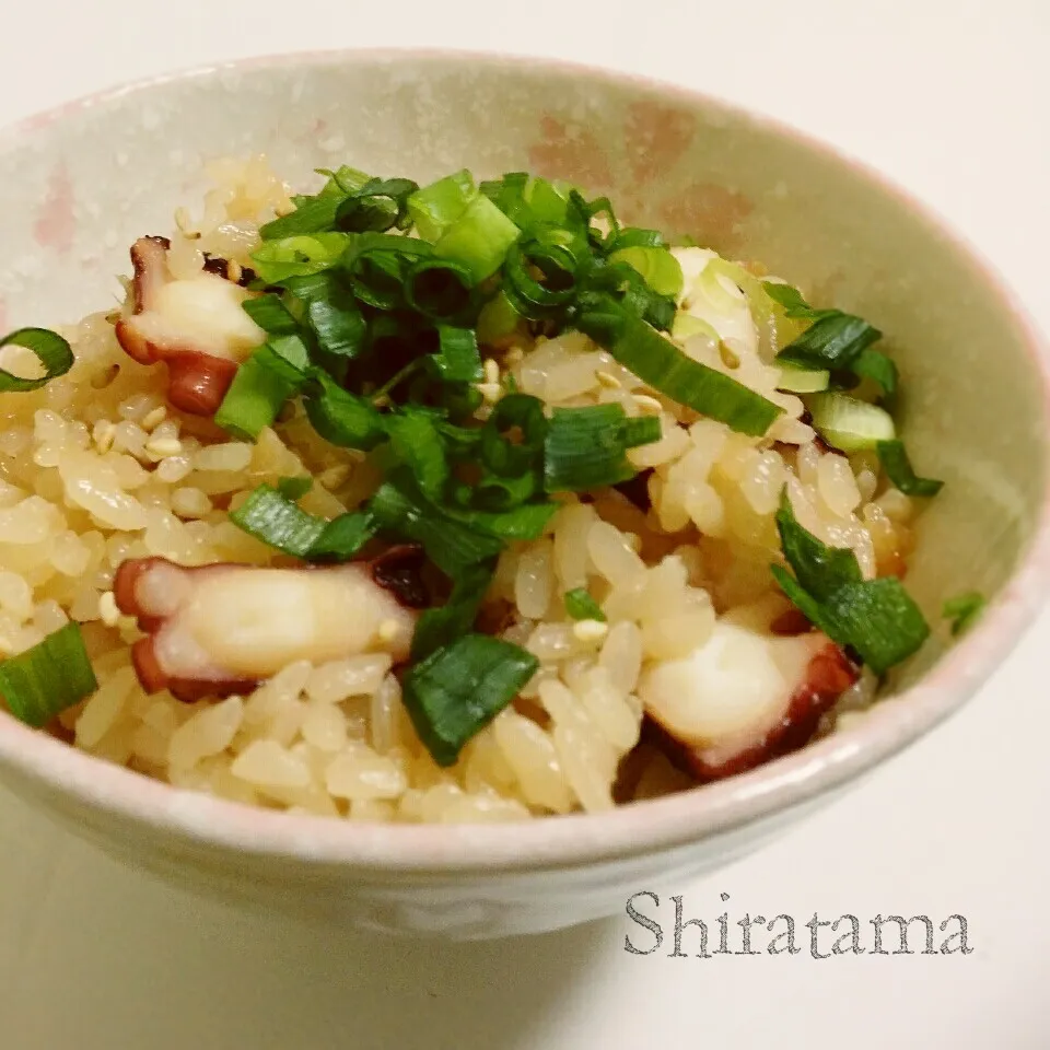 からビーさんのタコ飯♥|白玉さん