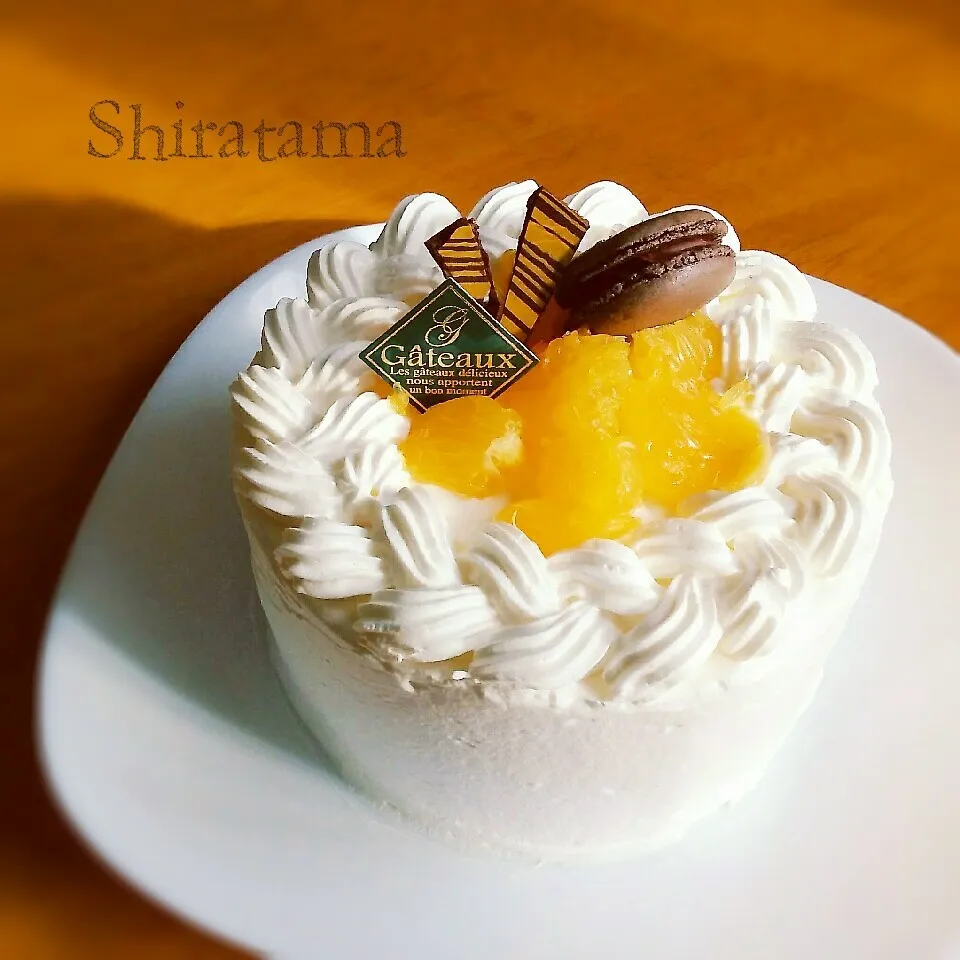 Snapdishの料理写真:チームpâtisserie☆１月 オレンジのショートケーキ|白玉さん