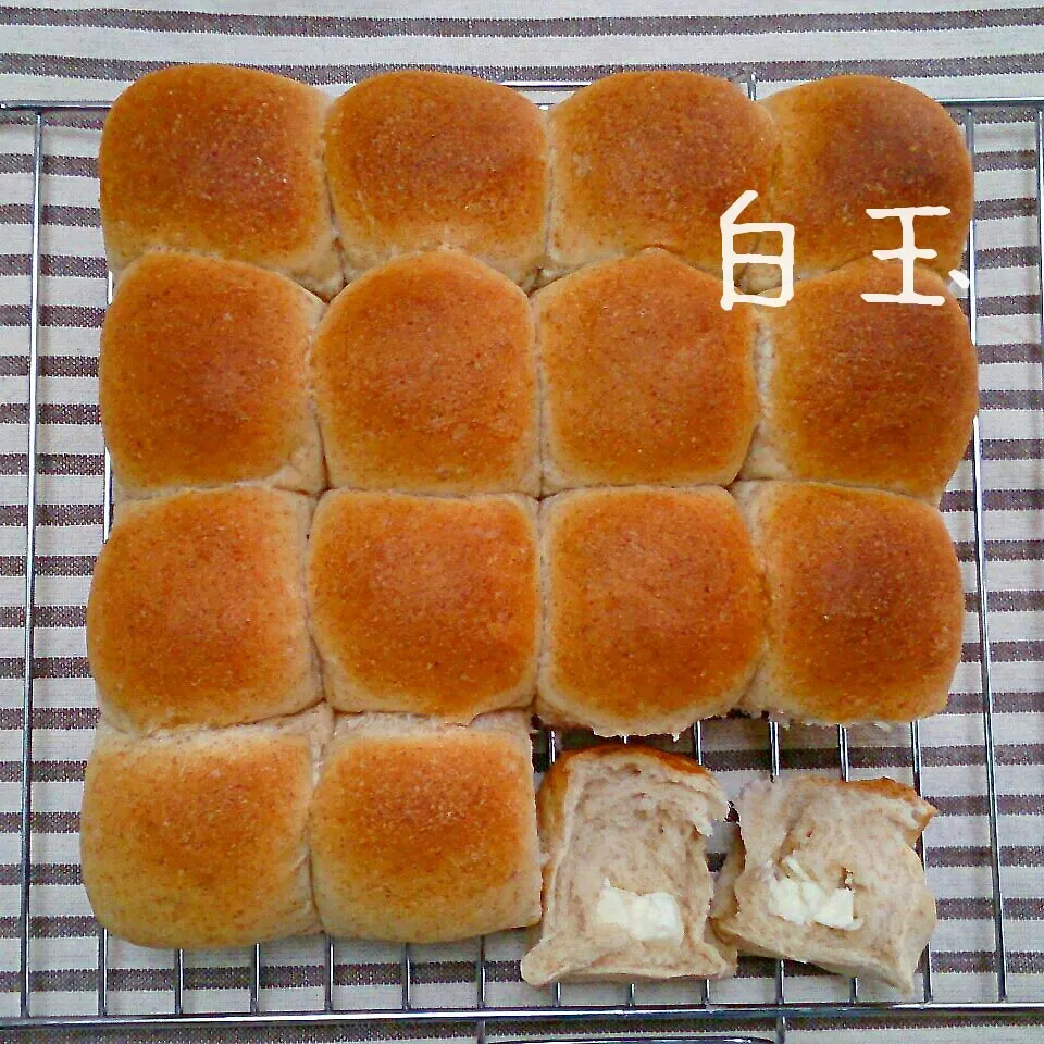 本日のパン♪ｸﾘｰﾑﾁｰｽﾞ入り全粒粉のちぎりパン|白玉さん