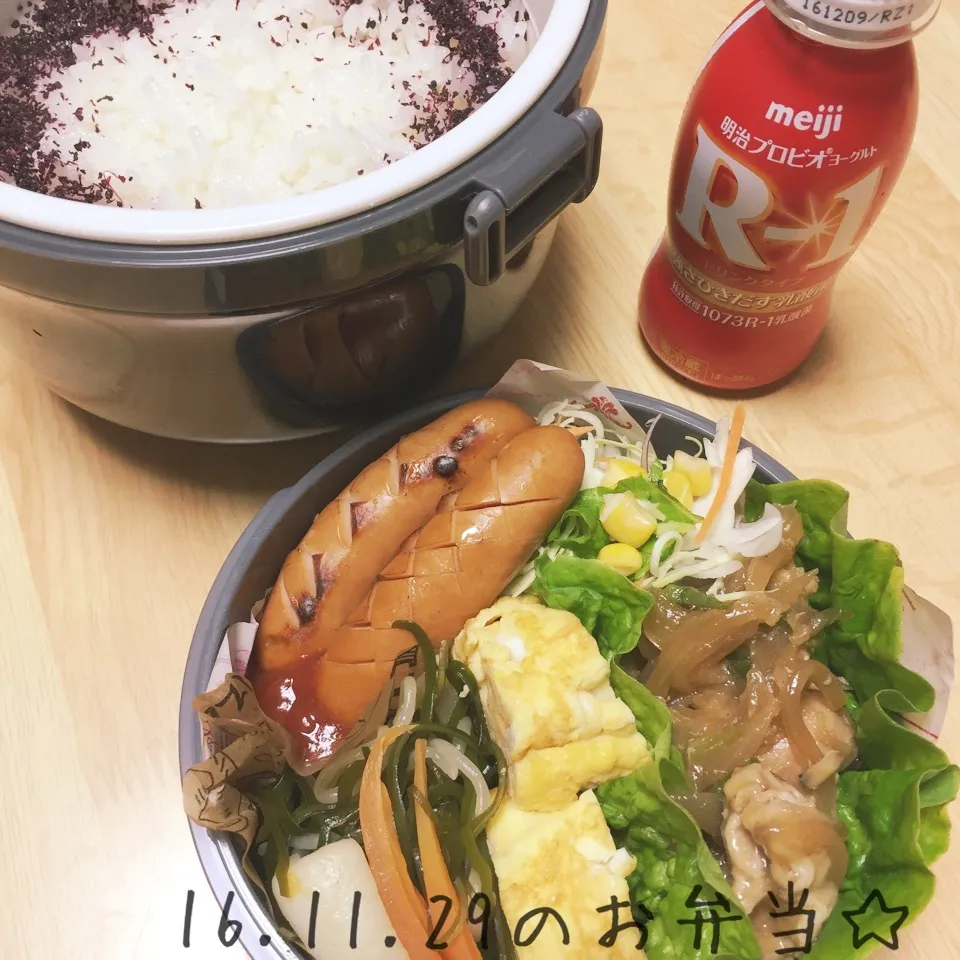 Snapdishの料理写真:息子お弁当|ニャオさん