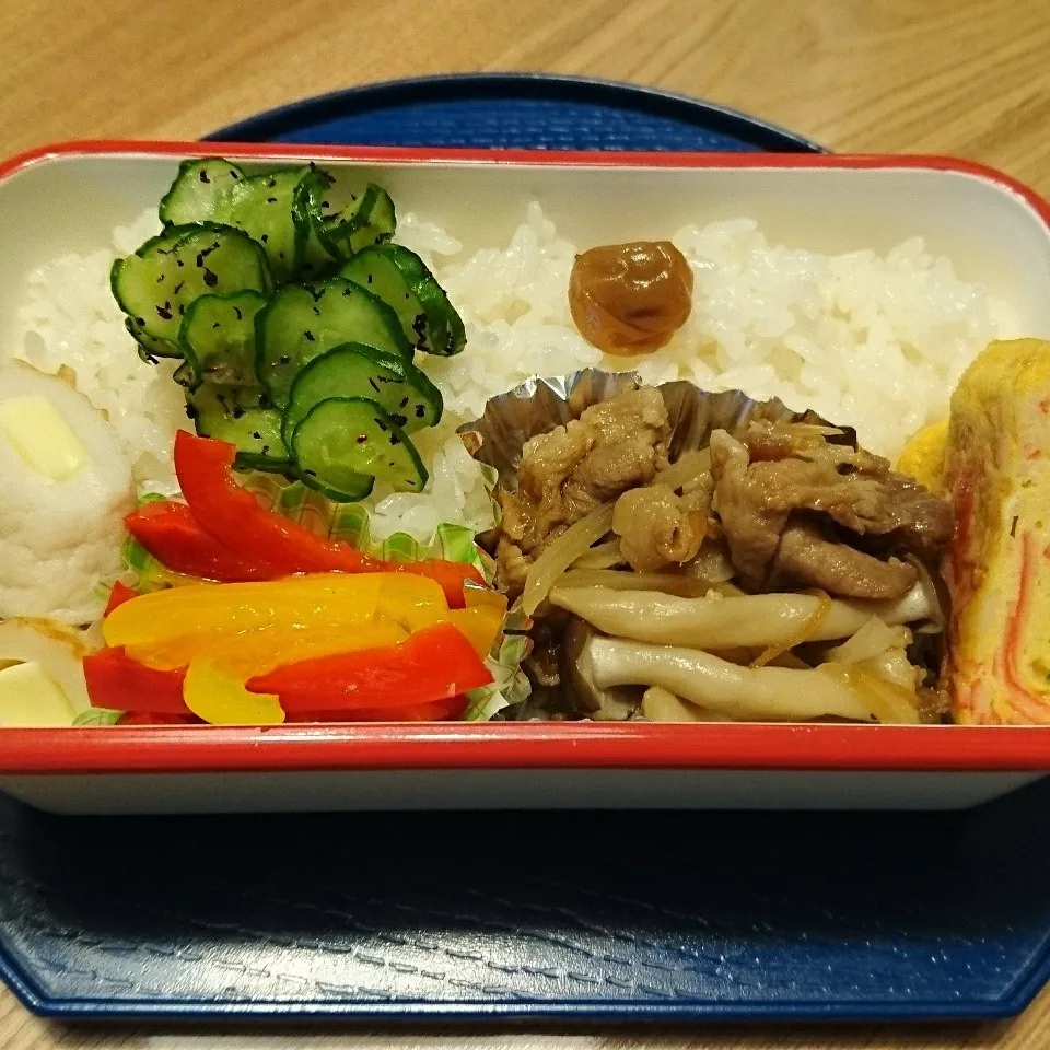 娘のお弁当❤️|のんたんさん