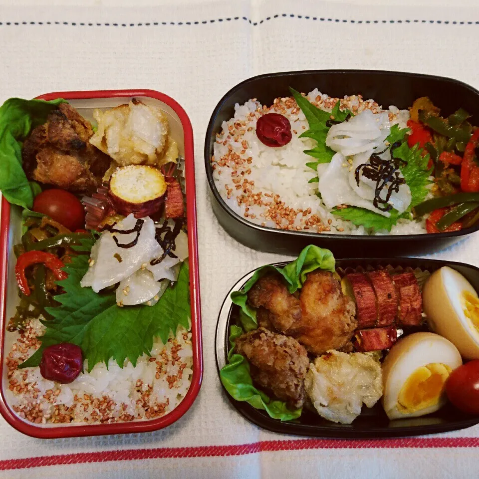 娘達のお弁当|のんたんさん