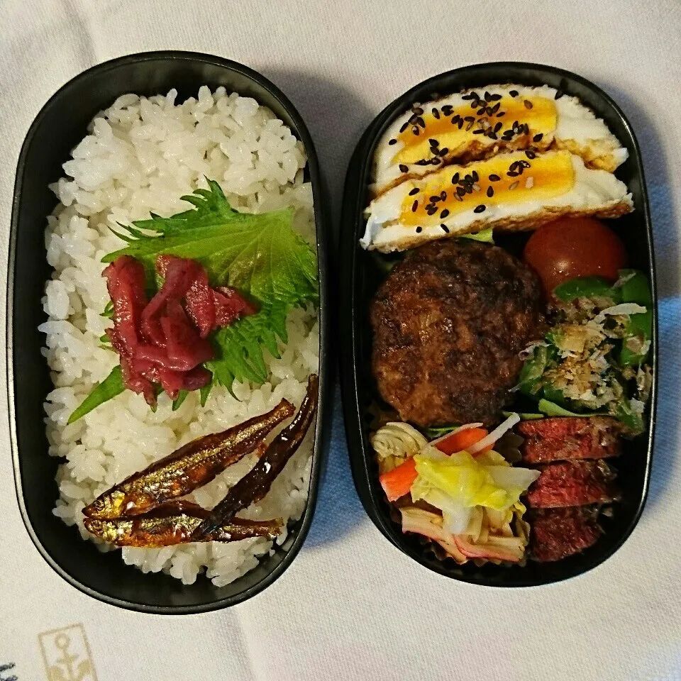 ひさびさの、娘のお弁当|のんたんさん