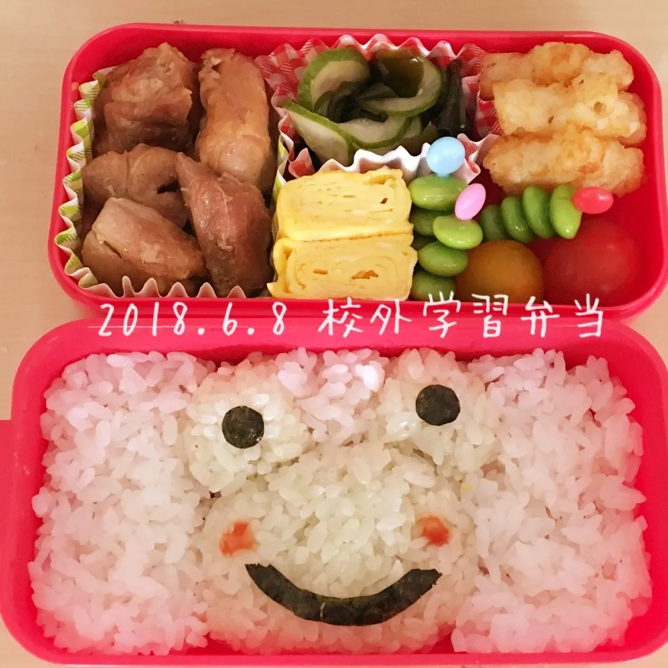 Snapdishの料理写真:2018.6.8 校外学習弁当|sapponさん