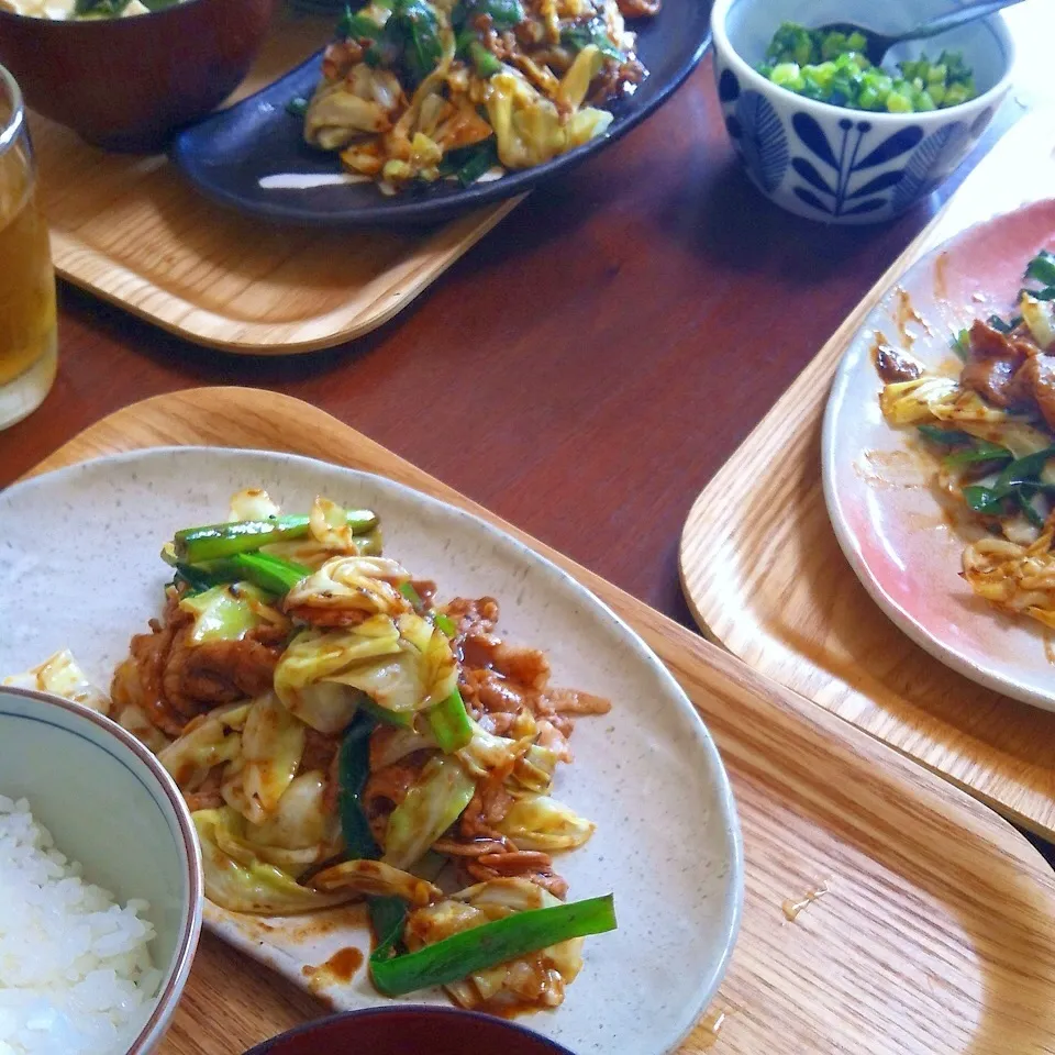 野菜がとれる☆回鍋肉|トトさん