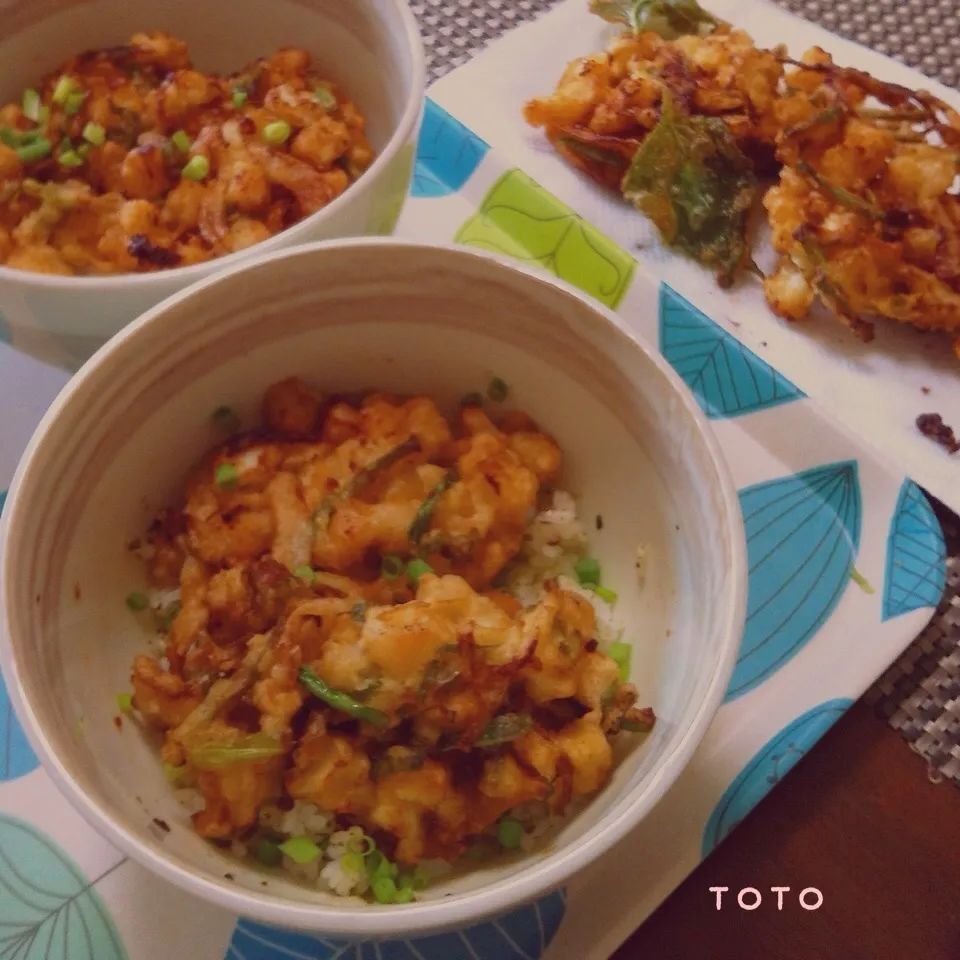 息子とランチ！かき揚げ丼！|トトさん