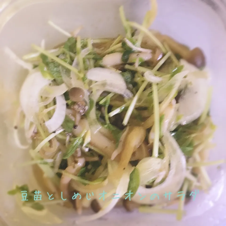 2／8晩御飯vol2|tomo-0409-koさん