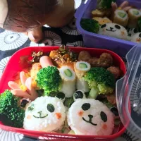 Snapdishの料理写真:パンダ弁当♪|もぇ♪さん