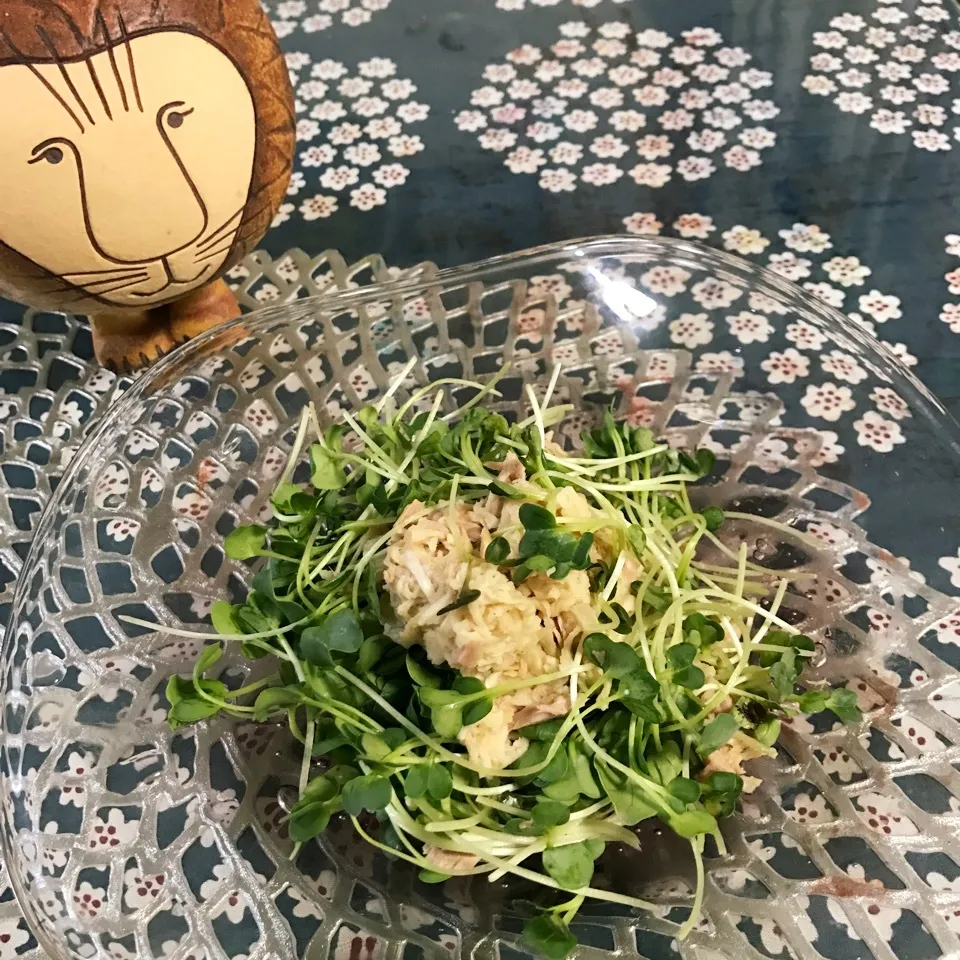 Snapdishの料理写真:切り干し大根とツナのサラダ|もぇ♪さん