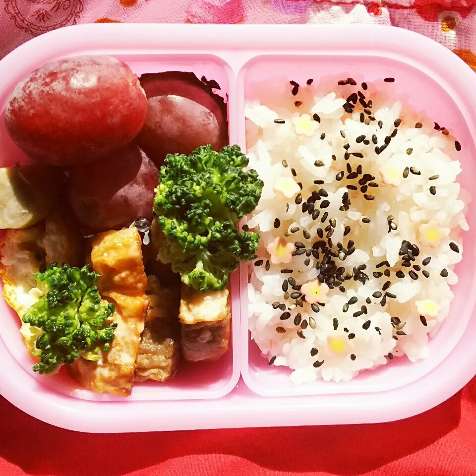 娘お弁当→母のお昼ご飯。|kiyoさん