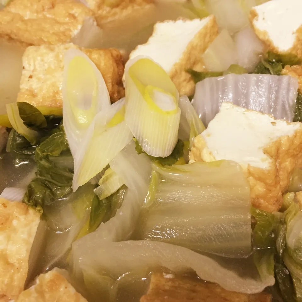 とろとろネギの厚揚げと白菜の煮物|まぁ〜さん