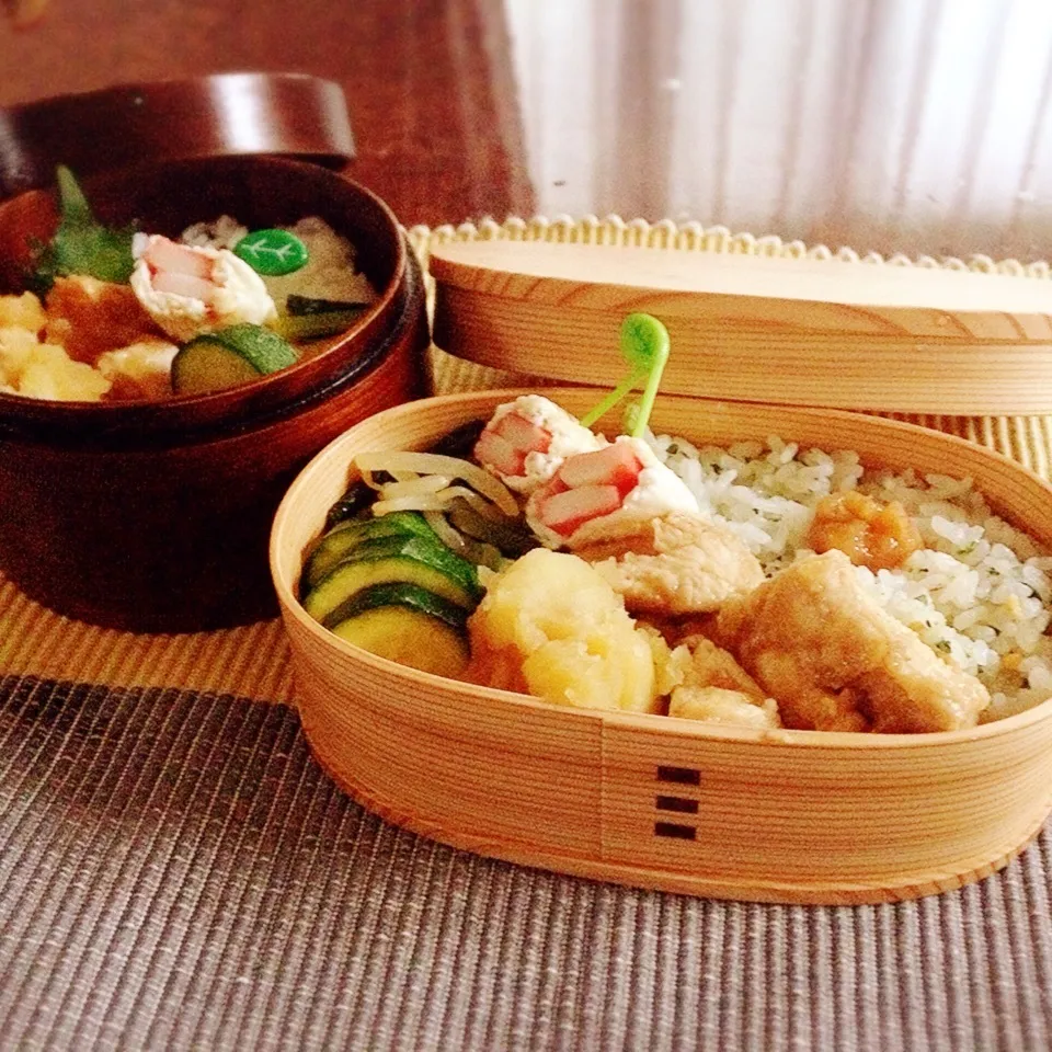 今日のお弁当 母と自分用 鶏胸肉〜|うさかめさん