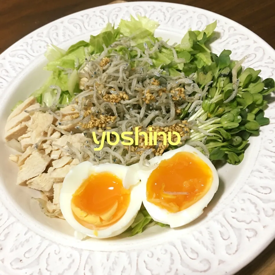 【糖質ゼロ麺】ムネ肉と野菜とじゃこの冷麺|ヨチパンさん