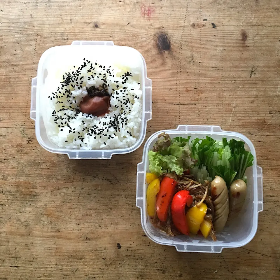 Snapdishの料理写真:今日のお弁当‼︎ 22 November
 #お弁当  #弁当  #obento  #lunchbox  #お弁当記録  #野菜炒め弁当  #野菜たっぷり|Yoshinobu Nakagawaさん