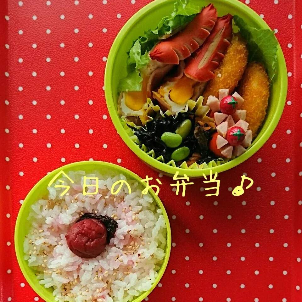 8/28…お弁当🎵|美津子さん