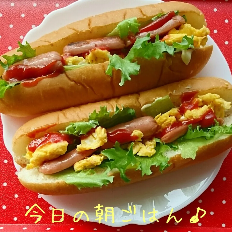 5/16…休日の朝ごはん🎵|美津子さん