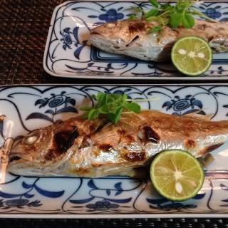イシモチ 塩焼きのレシピと料理アイディア30件 Snapdish スナップディッシュ